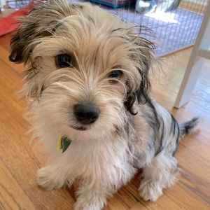 Meet your Posher, Leah